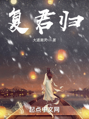 復君歸小說封面圖