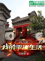 四合院：我的平淡生活小說封面圖