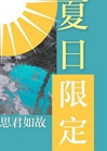 夏日限定小說封面圖