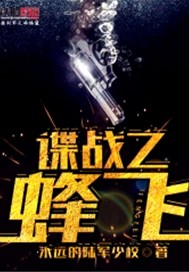 諜戰之蜂飛小說封面圖
