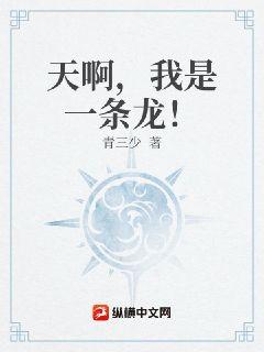 天啊，我是一條龍！小說封面圖