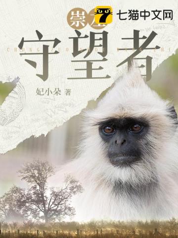 崇左守望者小說封面圖