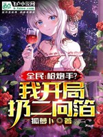 全民：槍炮手？我開局扔二向箔小說封面圖