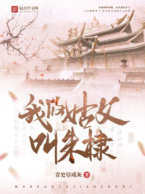 我的姑父叫朱棣小說封面圖
