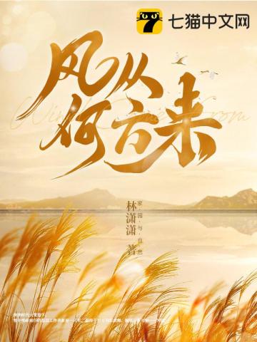 風從何方來小說封面圖