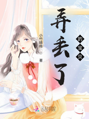 弄丟了的寶貝小說封面圖