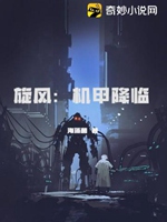 旋風：機甲降臨小說封面圖