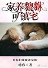 家養貔貅可鎮宅小說封面圖