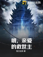 哦，親愛的救世主小說封面圖