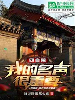 四合院：我的名聲很重要小說封面圖