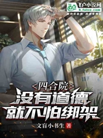 四合院：沒有道德，就不怕綁架小說封面圖