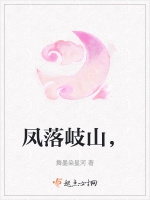 鳳落岐山，小說封面圖