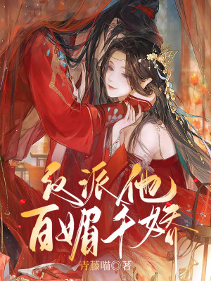 反派他百媚千嬌小說封面圖