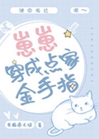 崽崽穿成金手指派送員小說封面圖