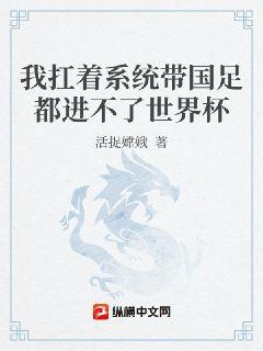 我扛着系統帶國足都進不了世界盃小說封面圖