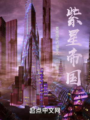 紫星帝國小說封面圖