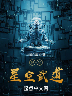 我的星空武道小說封面圖