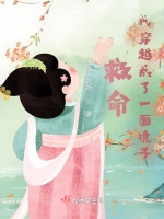 救命！我穿越成了一面鏡子！小說封面圖