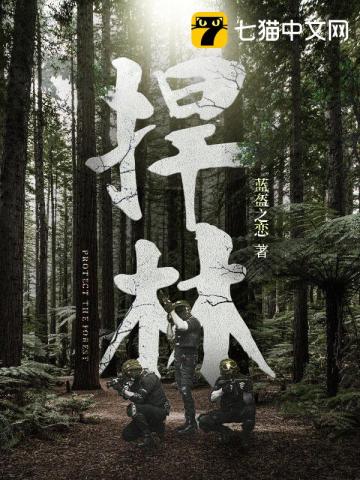 捍林小說封面圖