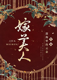 嫁美人小說封面圖