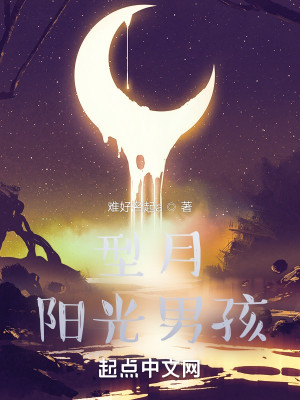 型月陽光男孩小說封面圖