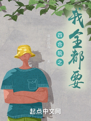 四合院之我全都要小說封面圖