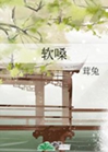 軟嗓小說封面圖
