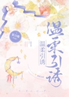 溫柔引誘小說封面圖