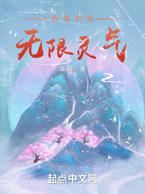 我體內有無限靈氣小說封面圖