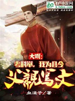 大明：考科舉，我爲縣長父親寫文小說封面圖