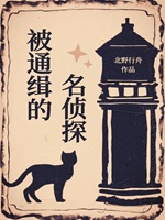 被通緝的名偵探小說封面圖