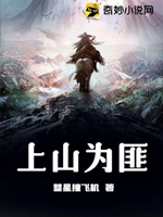 上山爲匪小說封面圖
