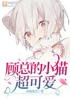 顧總的小貓超可愛小說封面圖