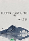 假死後成了皇帝的白月光小說封面圖