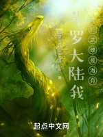 斗羅大陸之神清氣爽小說封面圖