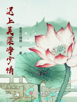 遲上芙蕖淨少情小說封面圖