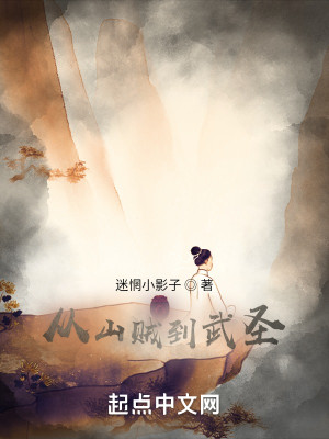 從山賊到武聖小說封面圖
