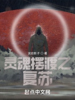 靈魂擺渡之復甦小說封面圖