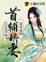 首輔嬌妻富可敵國小說封面圖