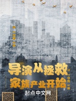 導演從拯救家族產業開始小說封面圖