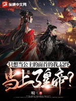 只想當公主的面首的我，最終當上了皇帝？小說封面圖