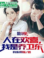 影視；人在歡喜，我是喬衛東小說封面圖