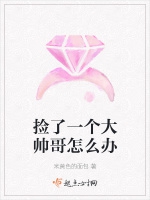 撿了一個大帥哥怎麼辦小說封面圖