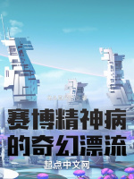 賽博精神病的奇幻漂流小說封面圖