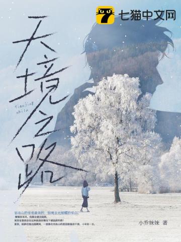 天境之路小說封面圖
