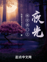 絕世唐門之夜光小說封面圖