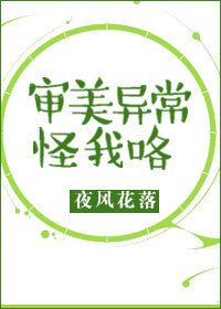 審美異常怪我咯小說封面圖