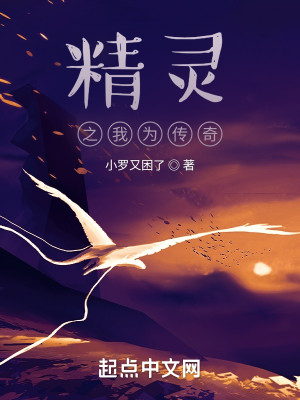精靈之我爲傳奇小說封面圖