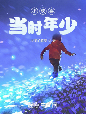 小歡喜：當時年少小說封面圖