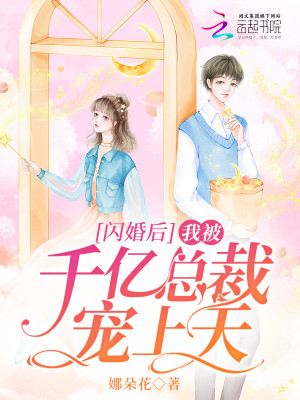 閃婚後，我被千億總裁寵上天小說封面圖